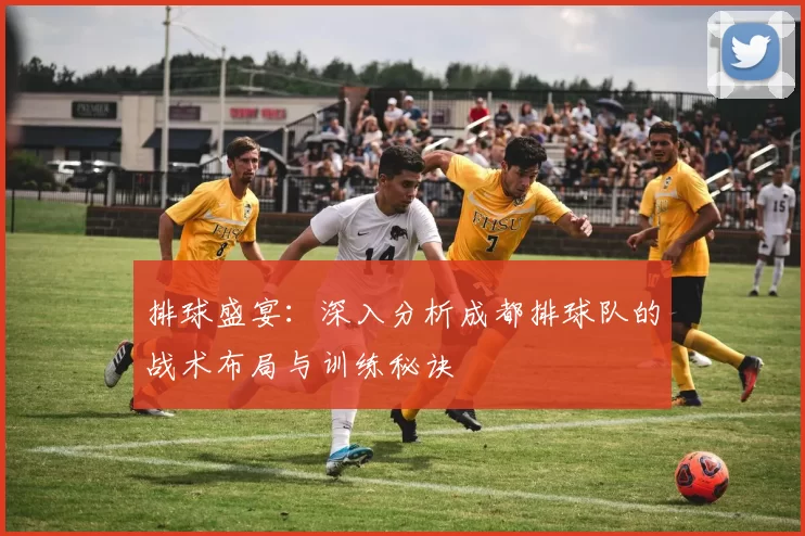 排球盛宴：深入分析成都排球队的战术布局与训练秘诀