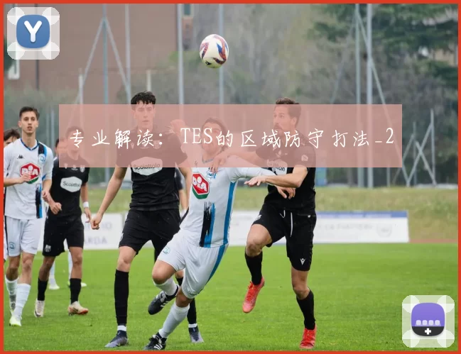 专业解读：TES的区域防守打法_2