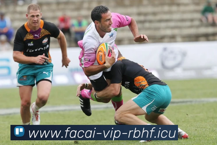 乐竞体育平台生态图